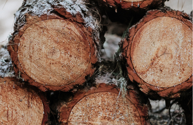 Массив дерева - лучший выбор для лестницы