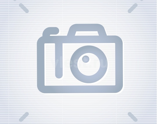 Лестница П-образная на двойном косоуре Double Style Дачный ответ